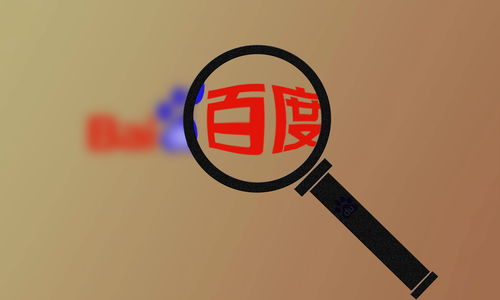 小旋风万能蜘蛛池怎么样